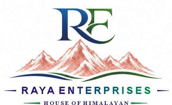 Raya Enterprises